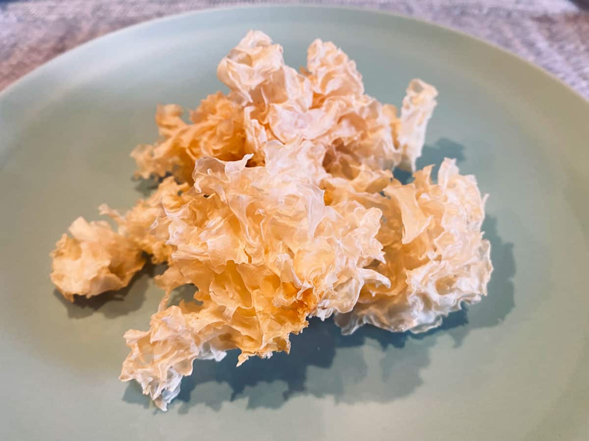 Snow fungus