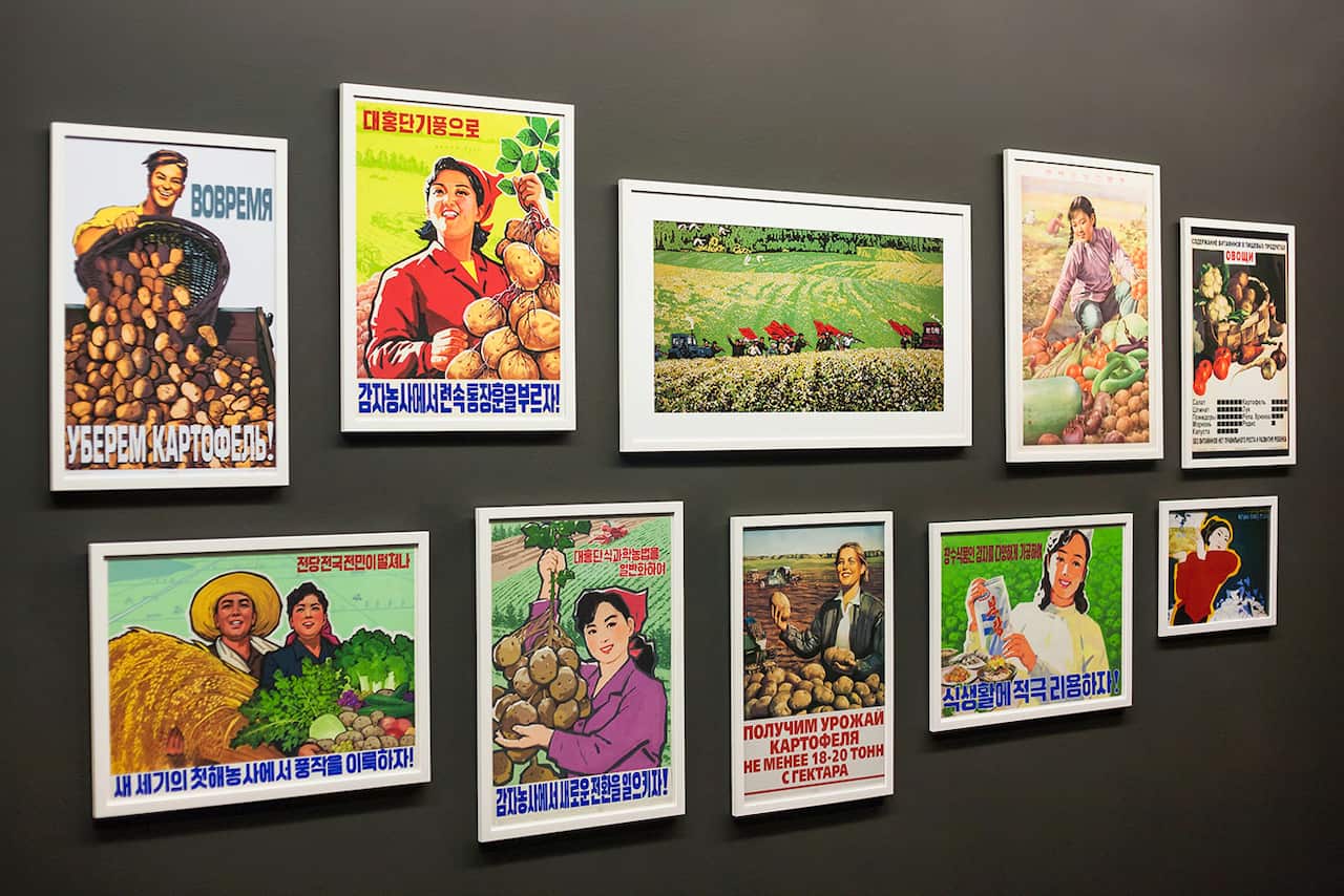 This ingredient is ripe for inspiration.