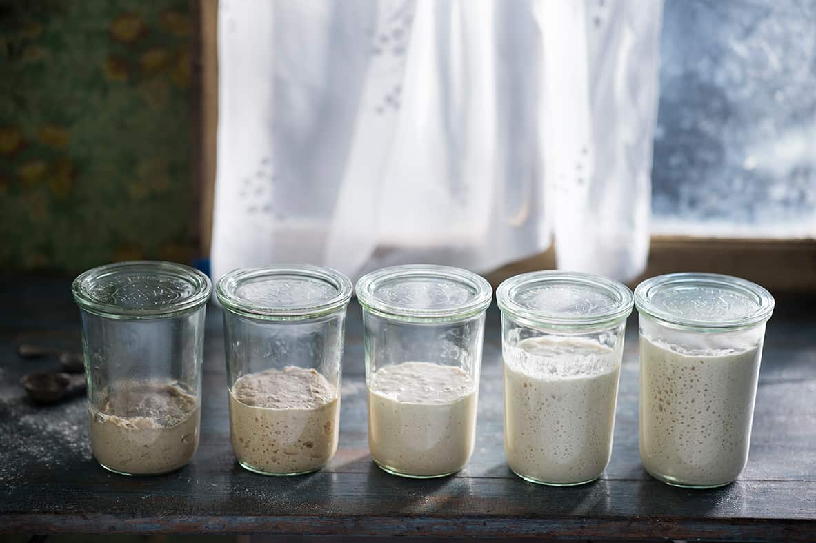 sourdough-starter-1_0.jpg