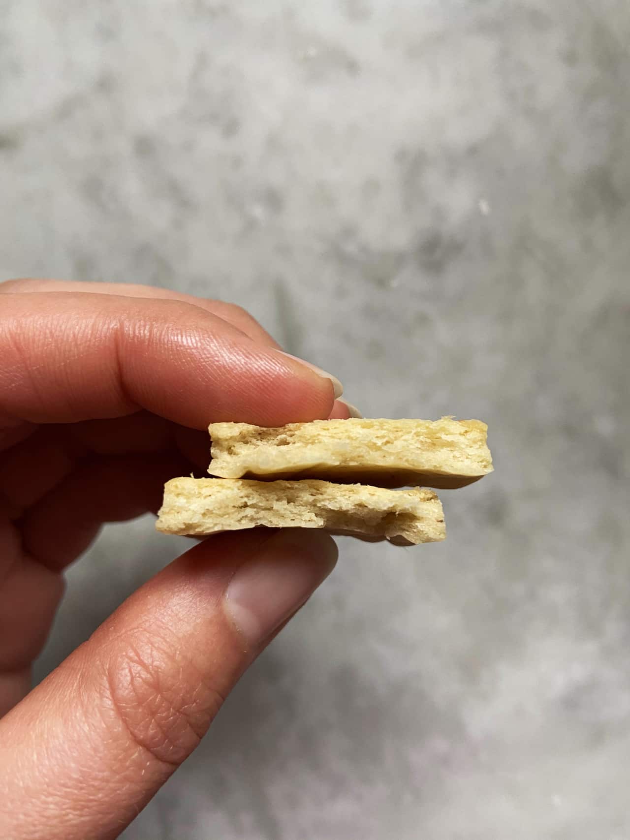 Sourdough cracker cross section