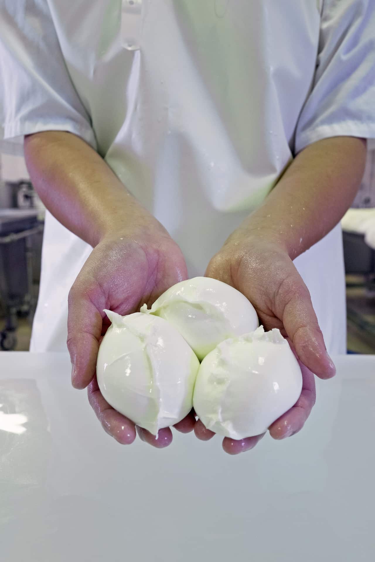 Buffalo mozzarella cheese at Shaw River Buffalo Cheese