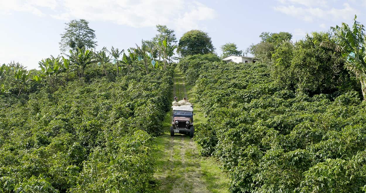 The Spice Trails: Latin America - ep 7 Colombia