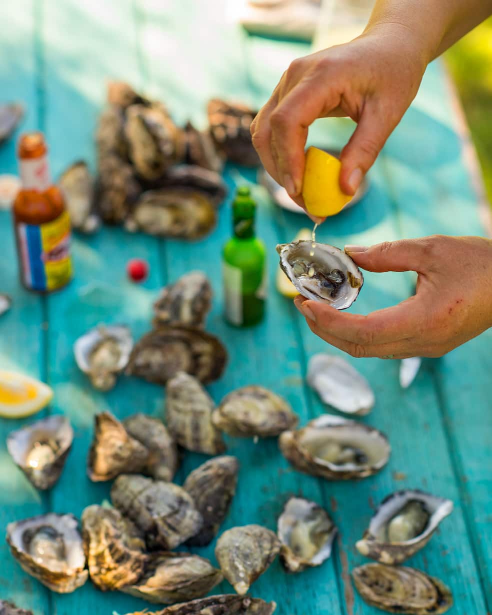 Steamed oysters with tomato, chilli and coriander salsa