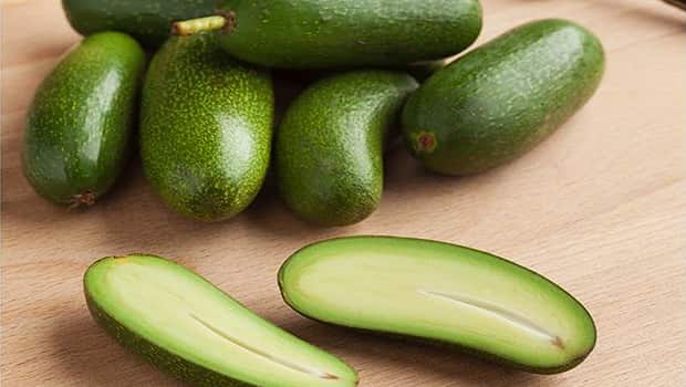 Marks and Spencer have started selling stoneless cocktail avocados with edible skin.