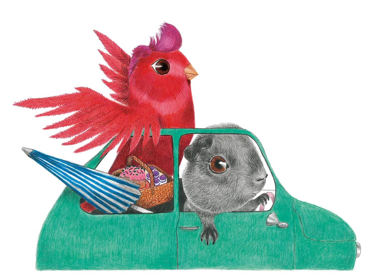 Sweet Petite illustration