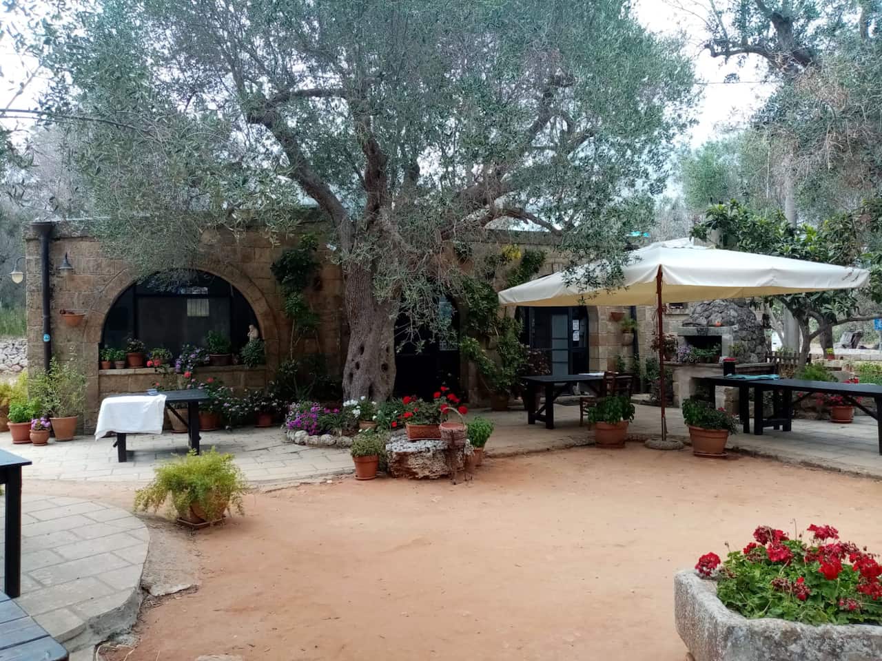 Agrituristica Gli Ulivi