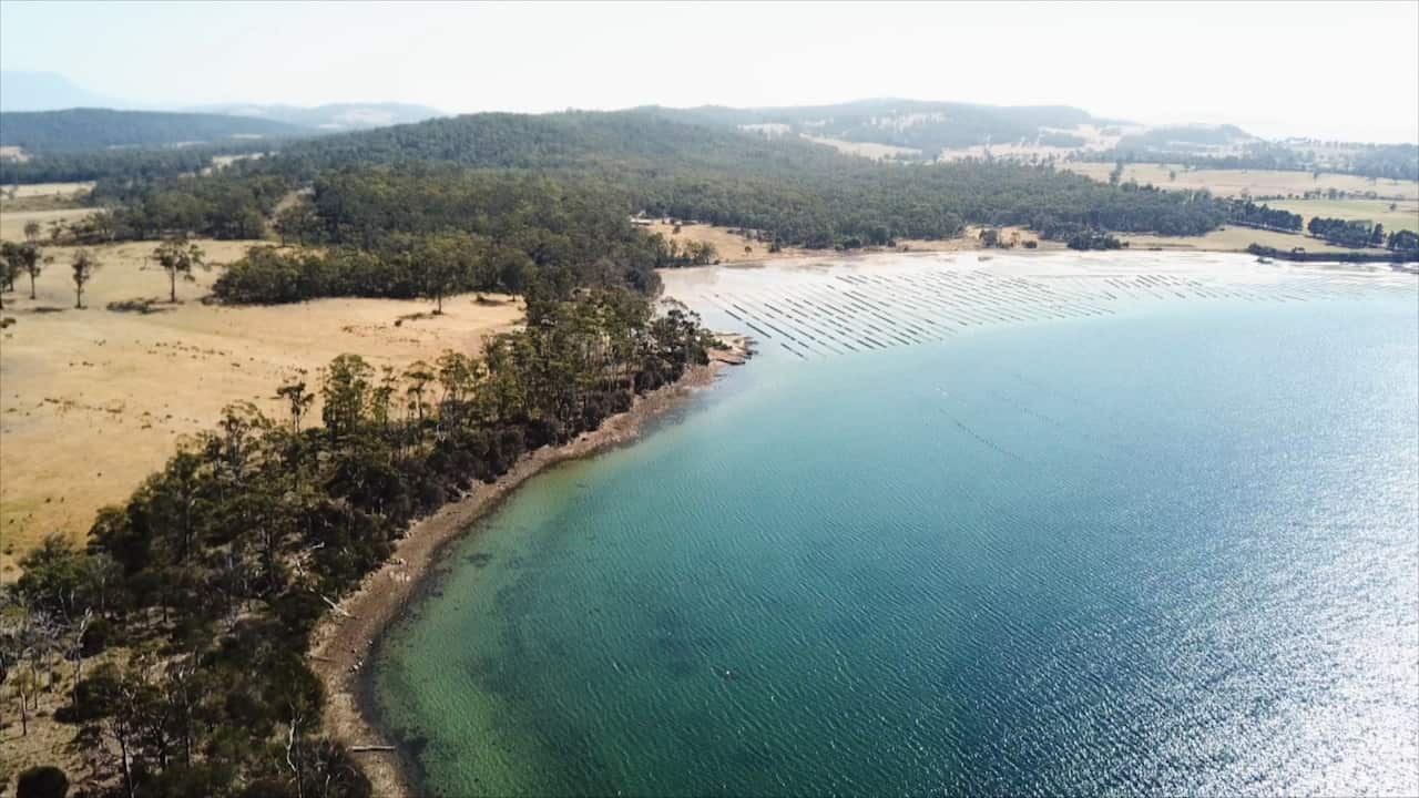 Bruny Island oyster farm