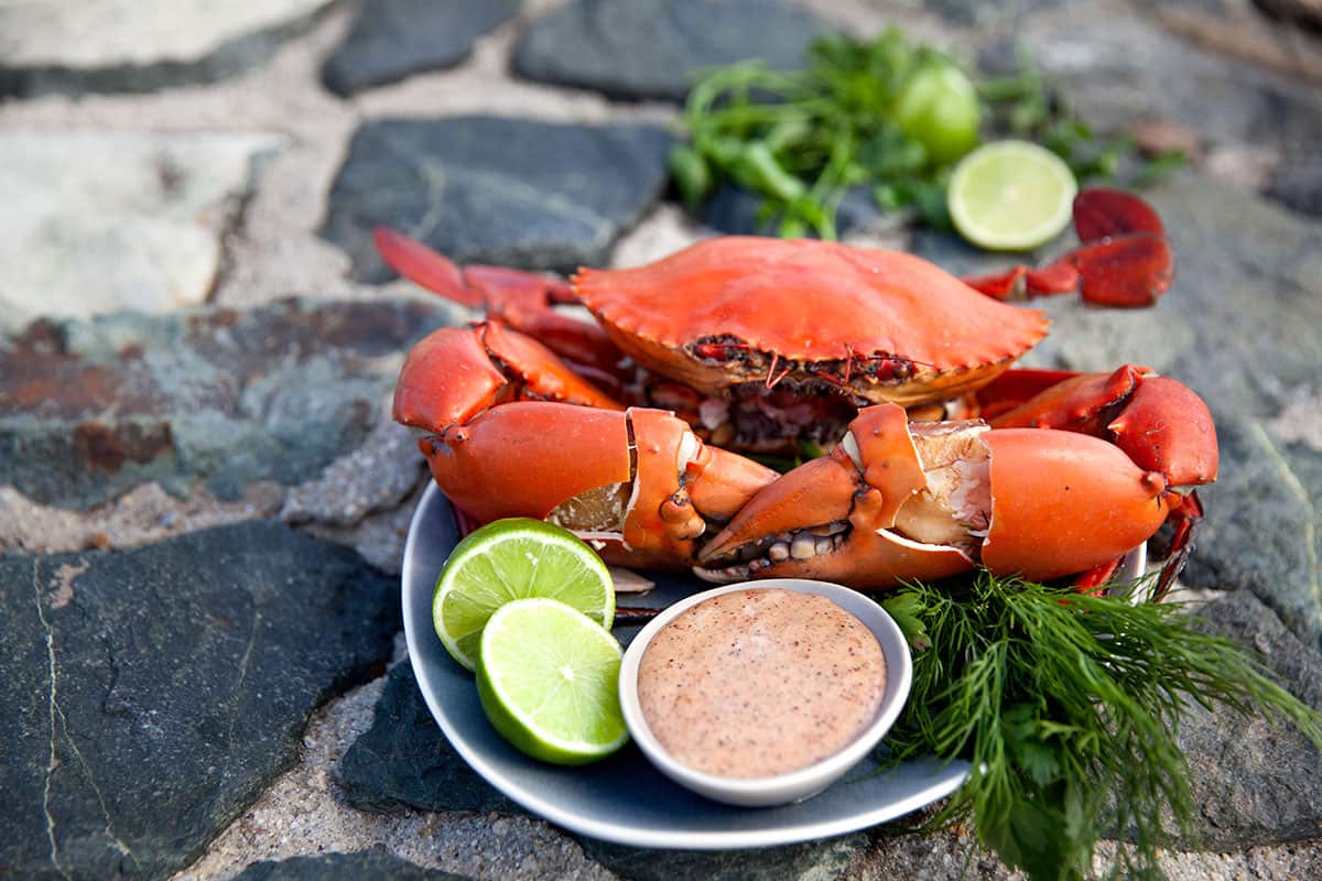mud crab with pepperberry mayonnaise