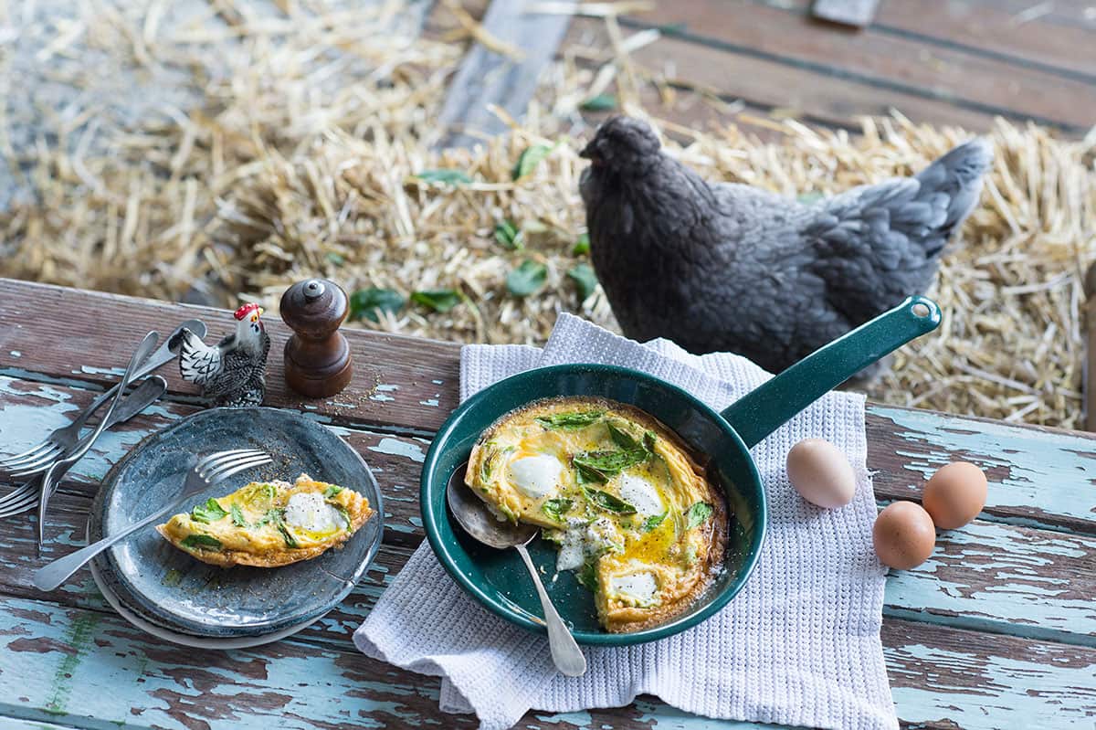 "Chook-minding turned out to be an emotional business."