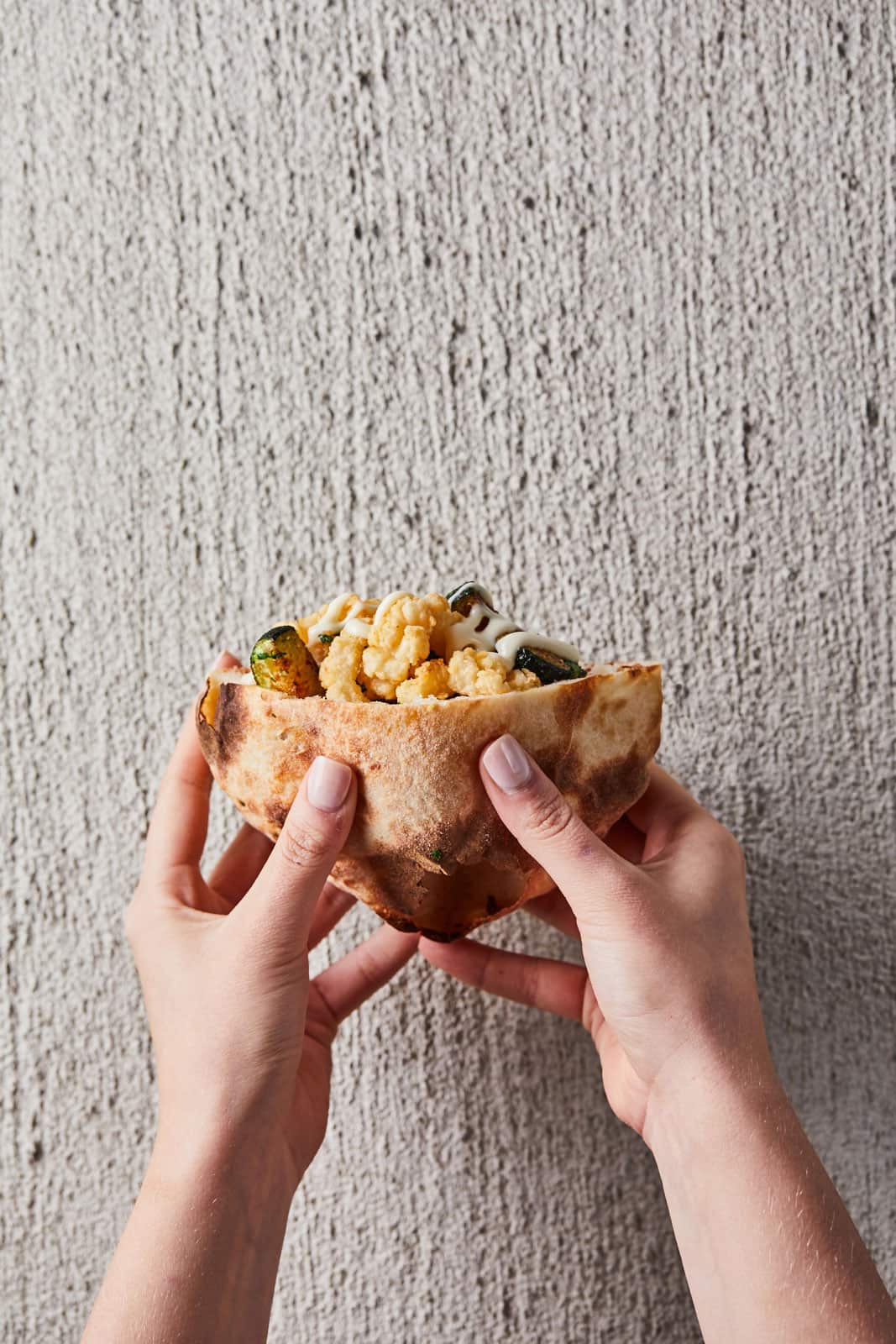 Calamari, zucchini and white sauce pezzo