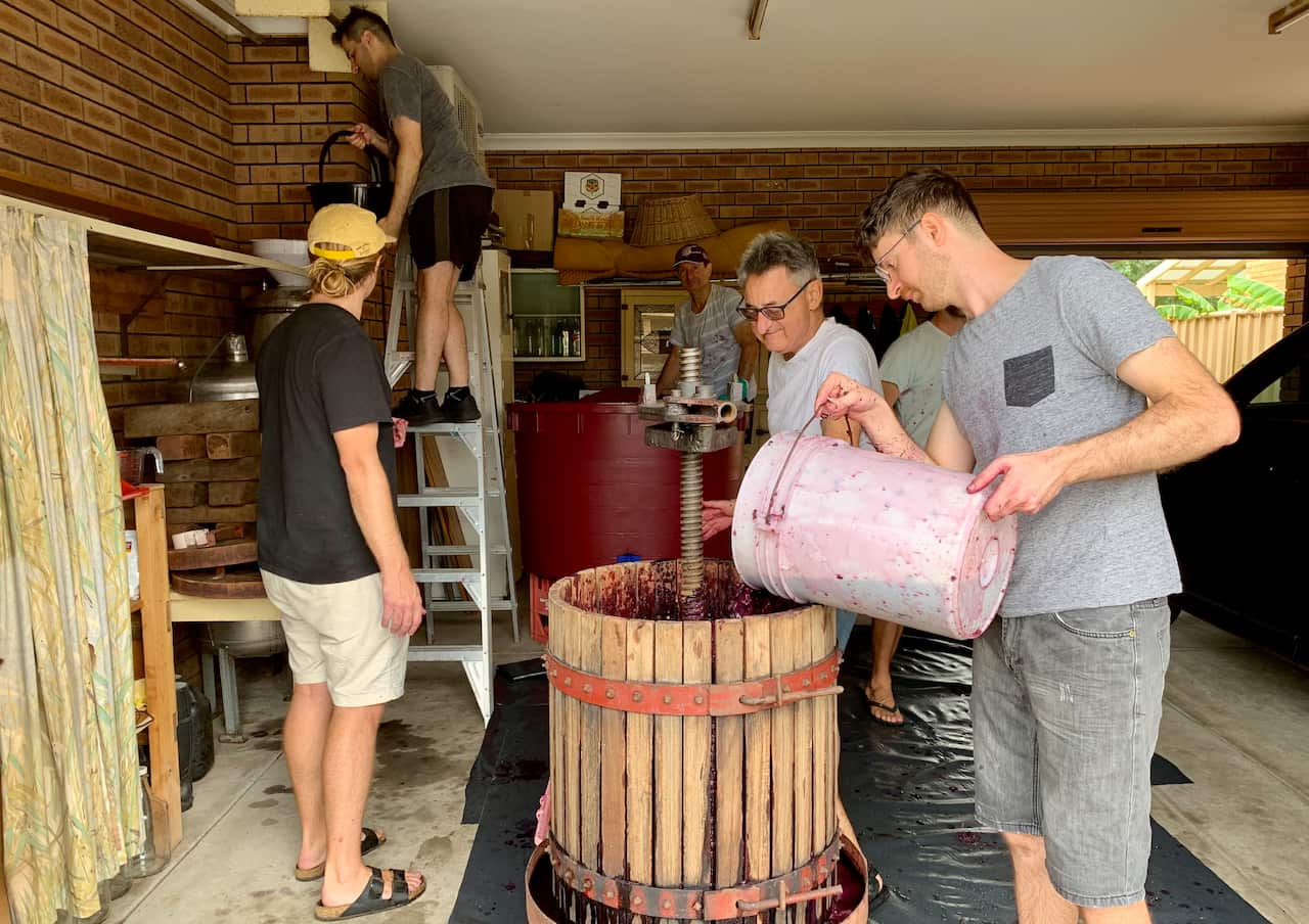 The D'Orazio family winemaking