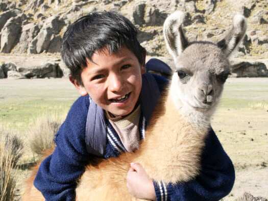 World Vision image of boy with llama