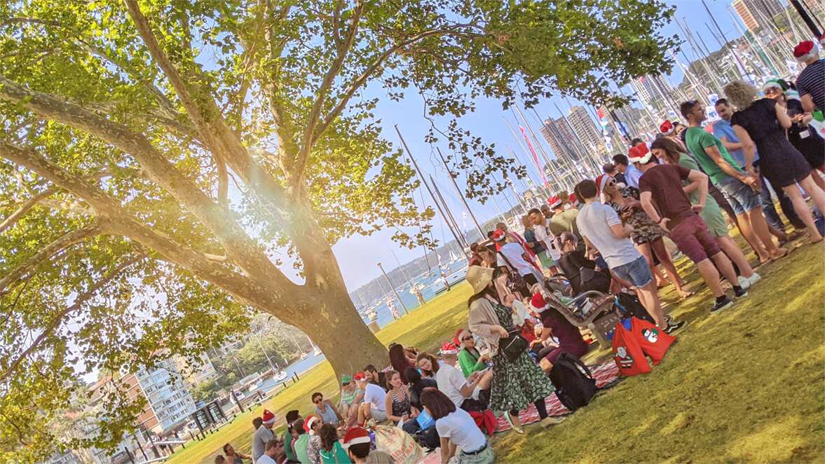 Christmas picnic Rushcutter's Bay Sydney