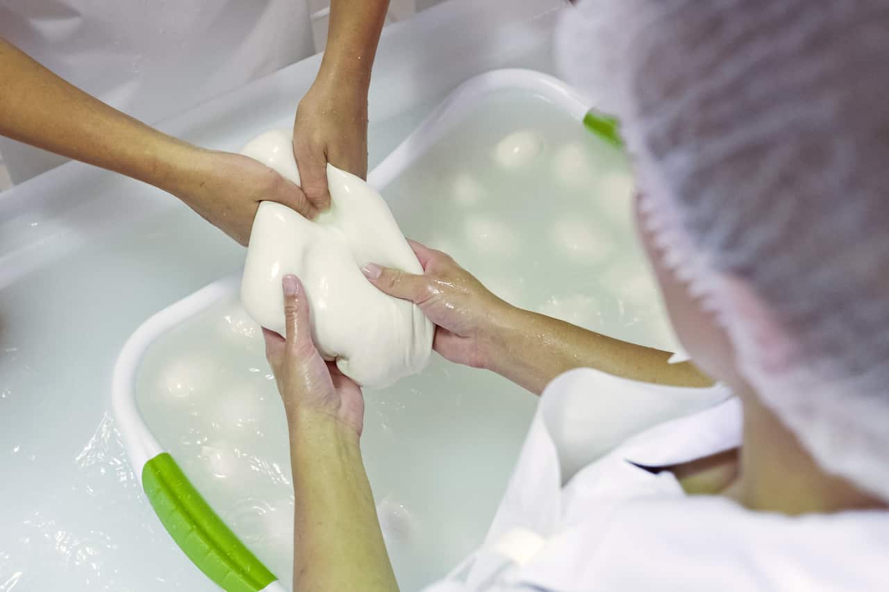 Buffalo mozzarella cheese at Shaw River Buffalo Cheese