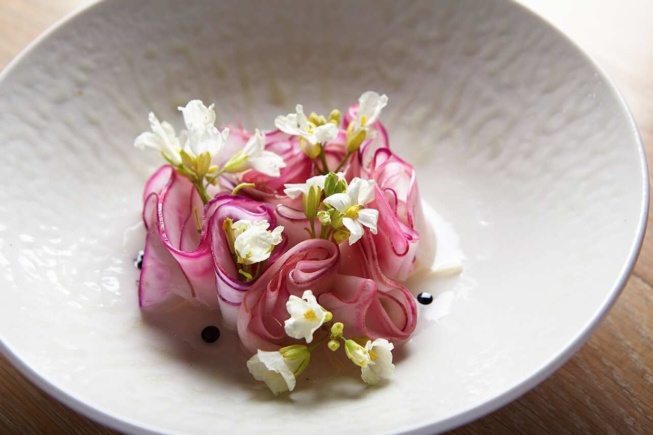 Kohlrabi, enoki and fermented apple