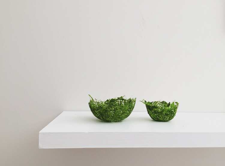 Jessica Zinga’s Sea Harvest project 