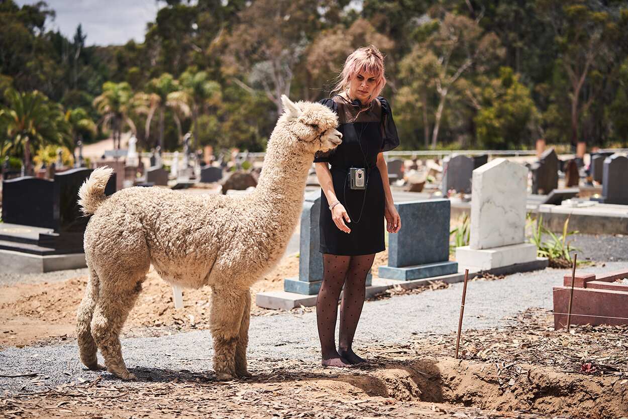 A Beginner's Guide to Grief