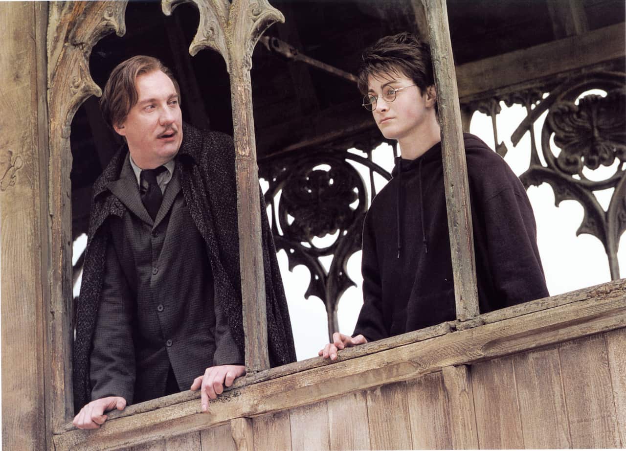 David Thewlis Harry Potter