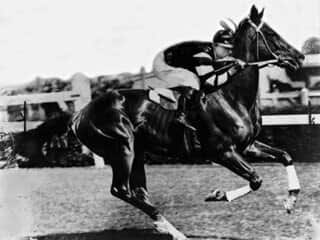 Phar Lap