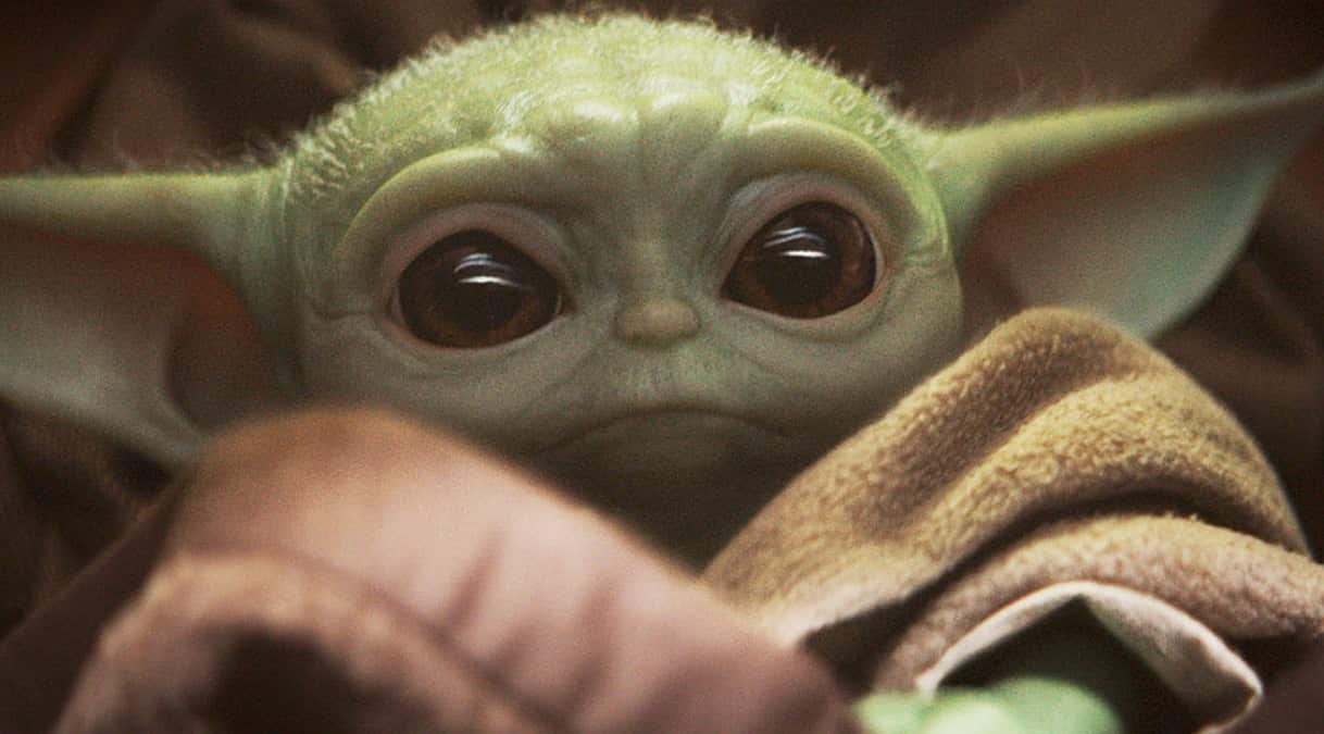 The 'real' Baby Yoda.