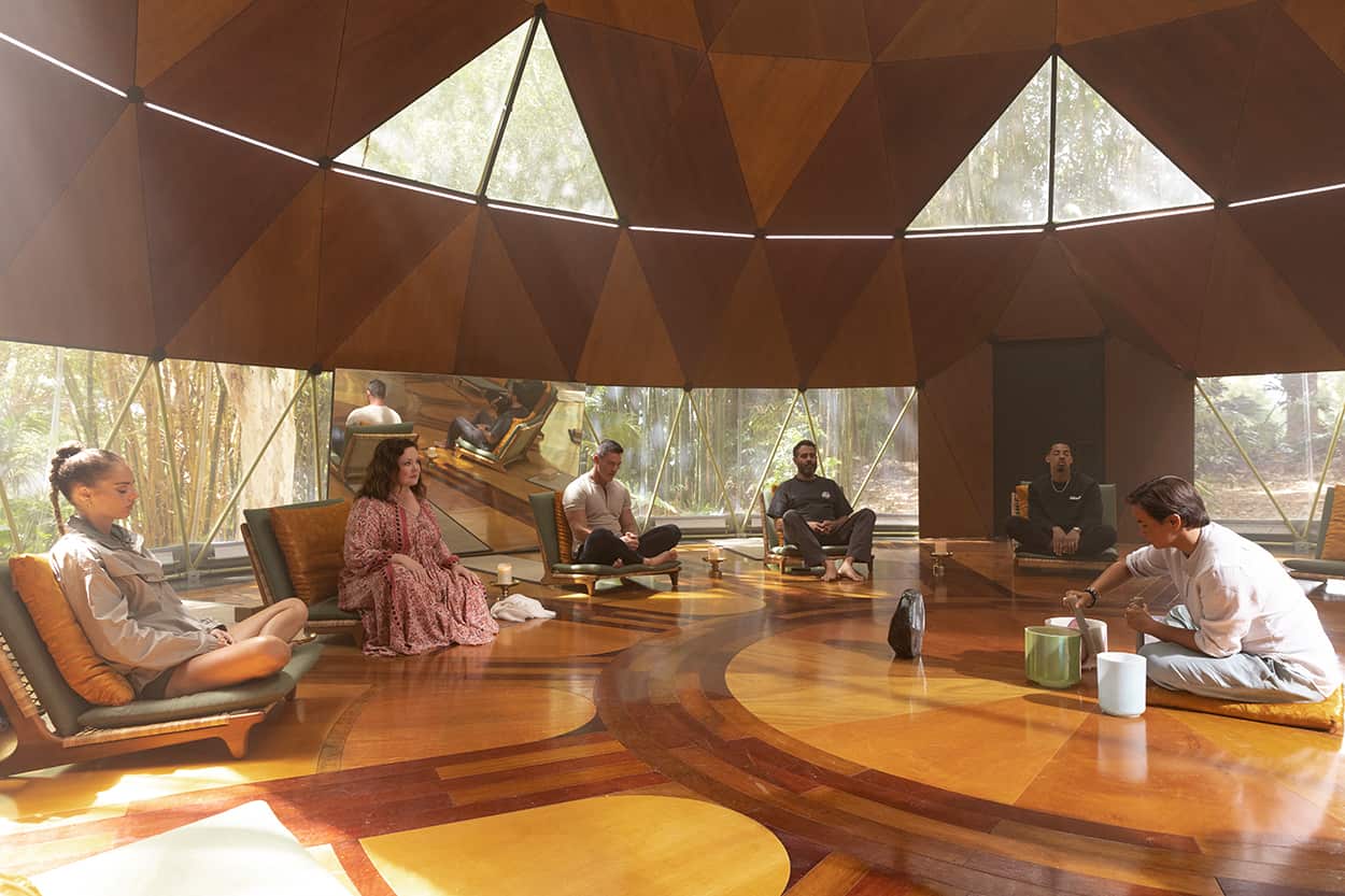 Nine Perfect Strangers