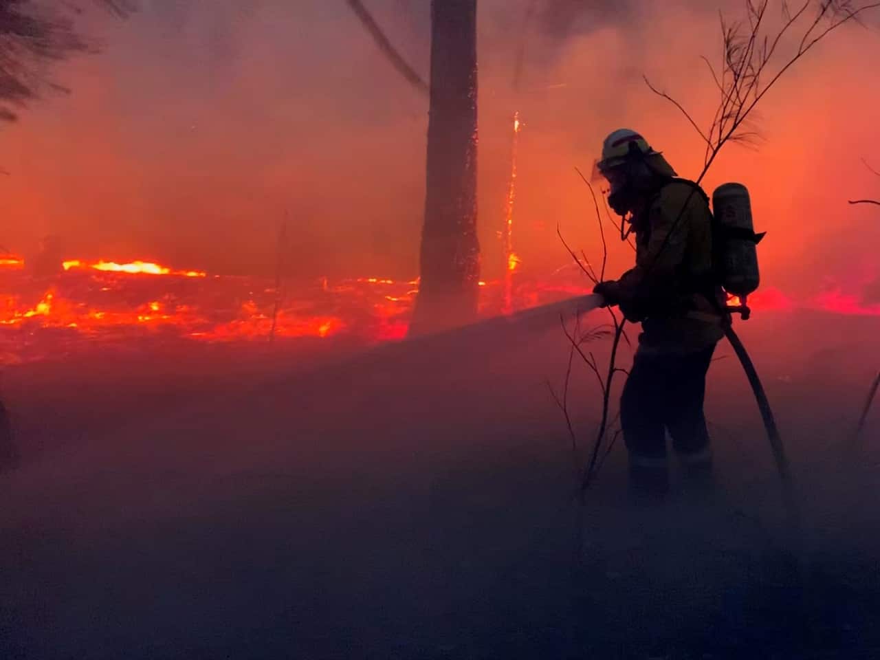 Australia Burns: Silence of the Land