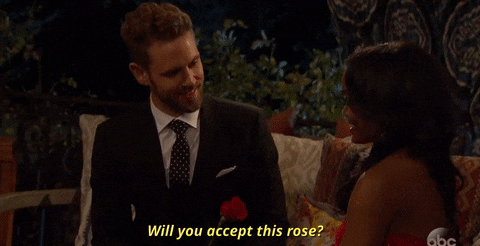 Bachelor rose