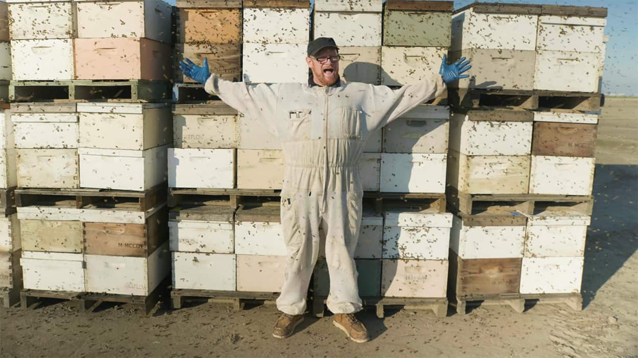 The Bee Whisperer, Charlie Agar