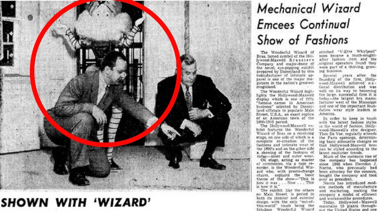 wonderful wizard of bras