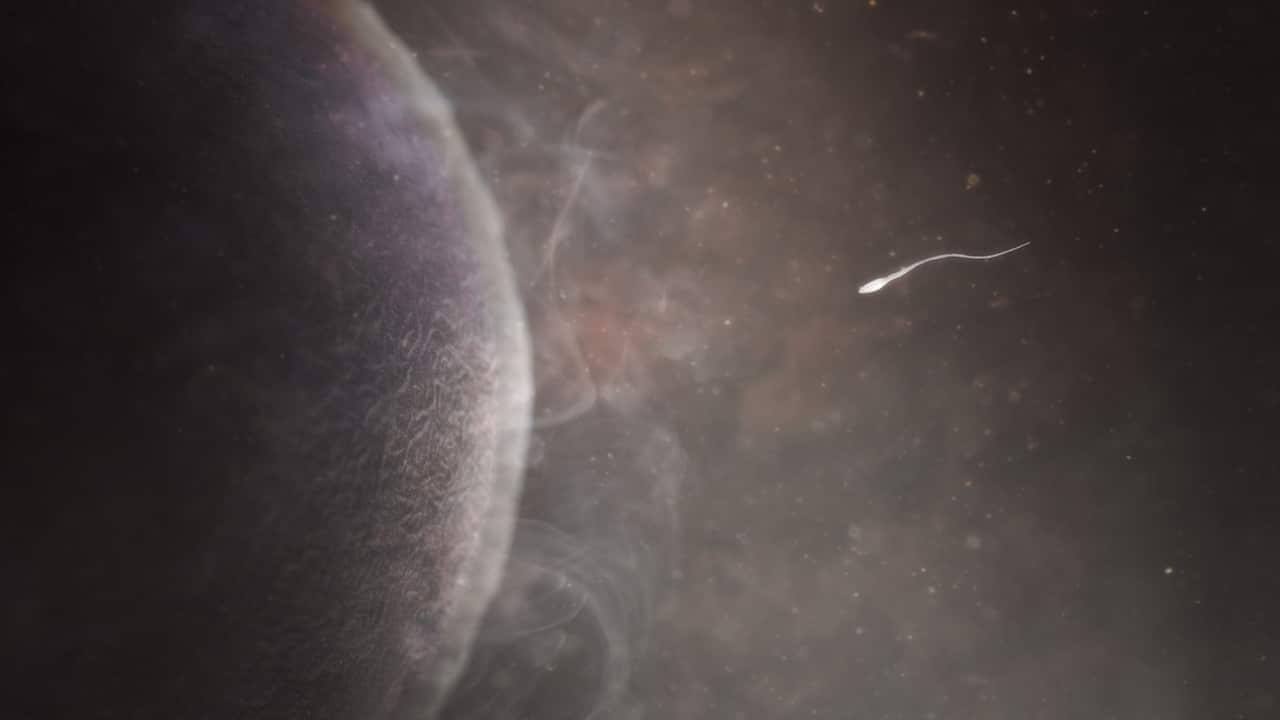 Digitally created image showing a sperm meeting an egg when two sets of genes will combine to create a new life.       