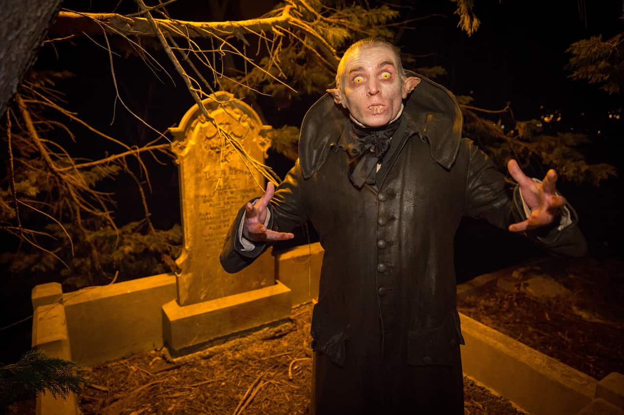 Wellington Paranormal