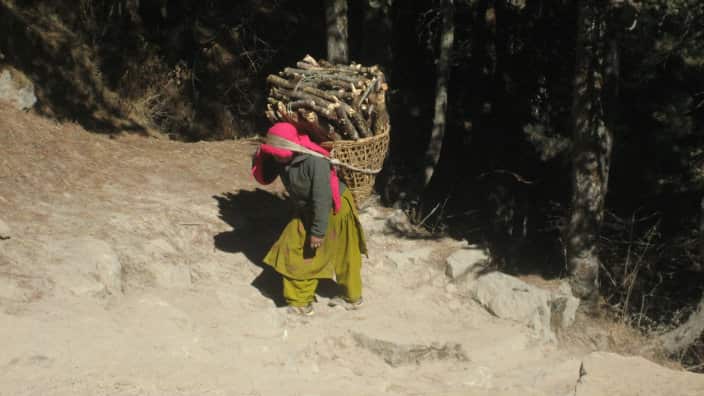 A Sherpa grandmother carries a heavy basket filled with logs.
