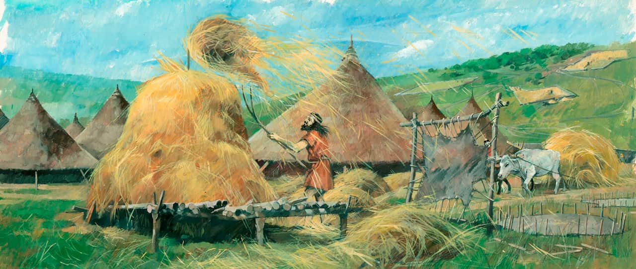 Bronze Age illustration