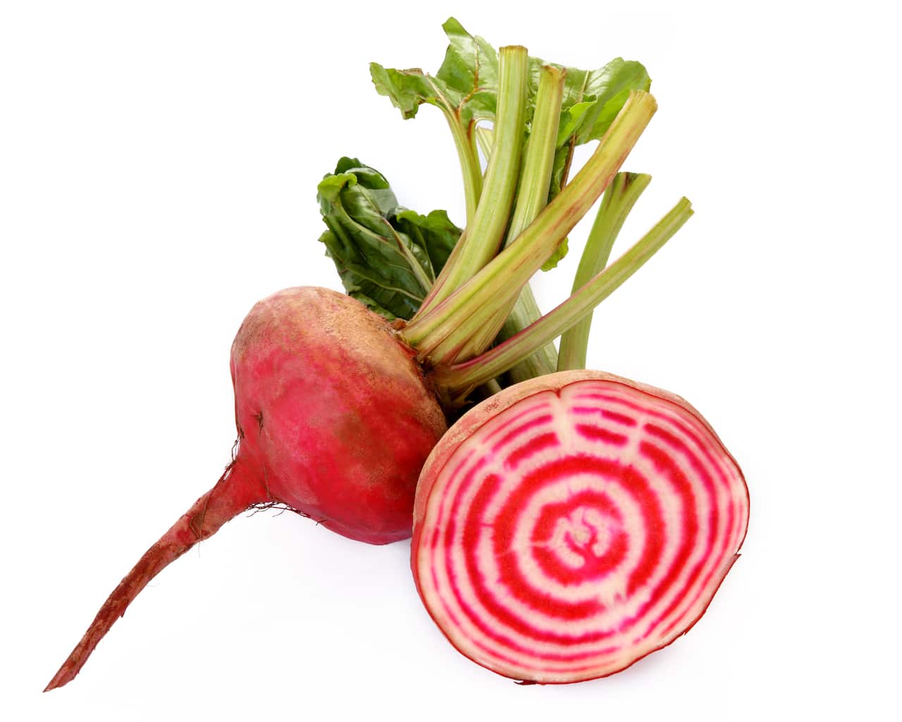 Chioggia beetroot