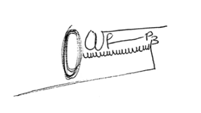 Burundi President Pierre Nkurunziza