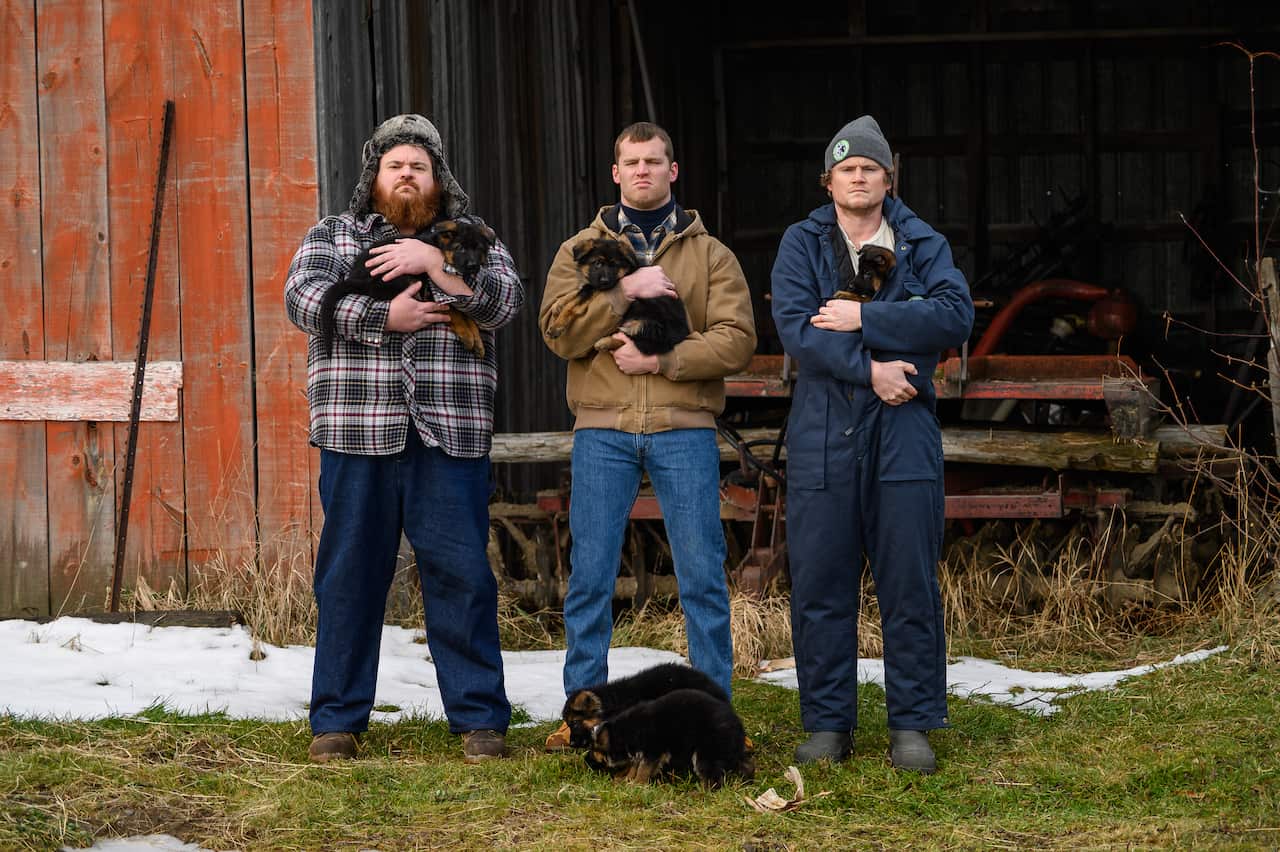 Letterkenny season 6