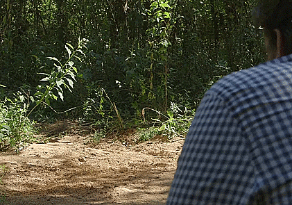 Hollywood’s Quicksand Fetish