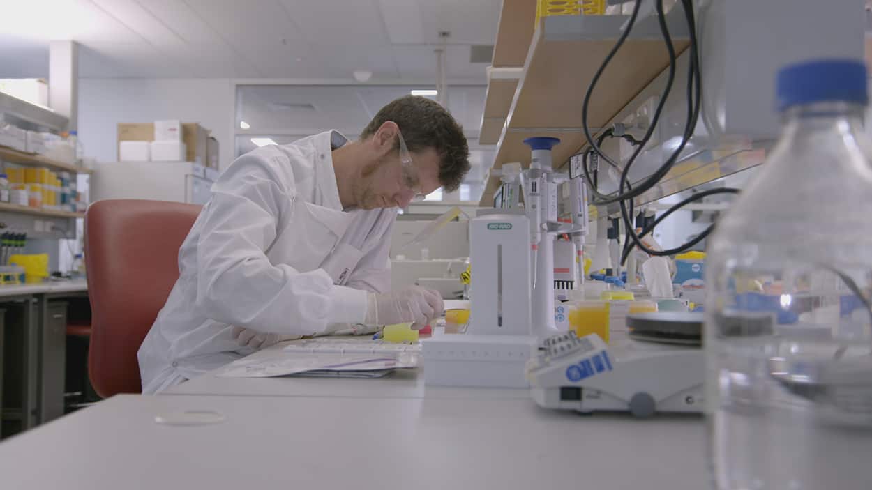 Vaccine: The Inside Story