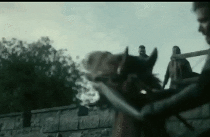 Vikings horse stomp
