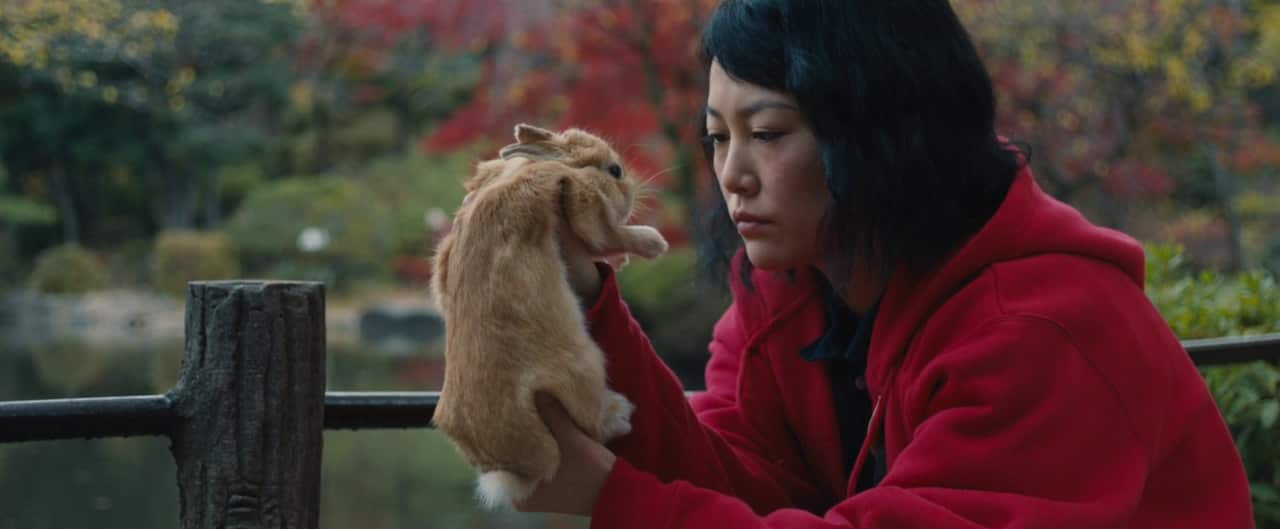 Rinko Kikuchi, Kumiko, The Treasure Hunter