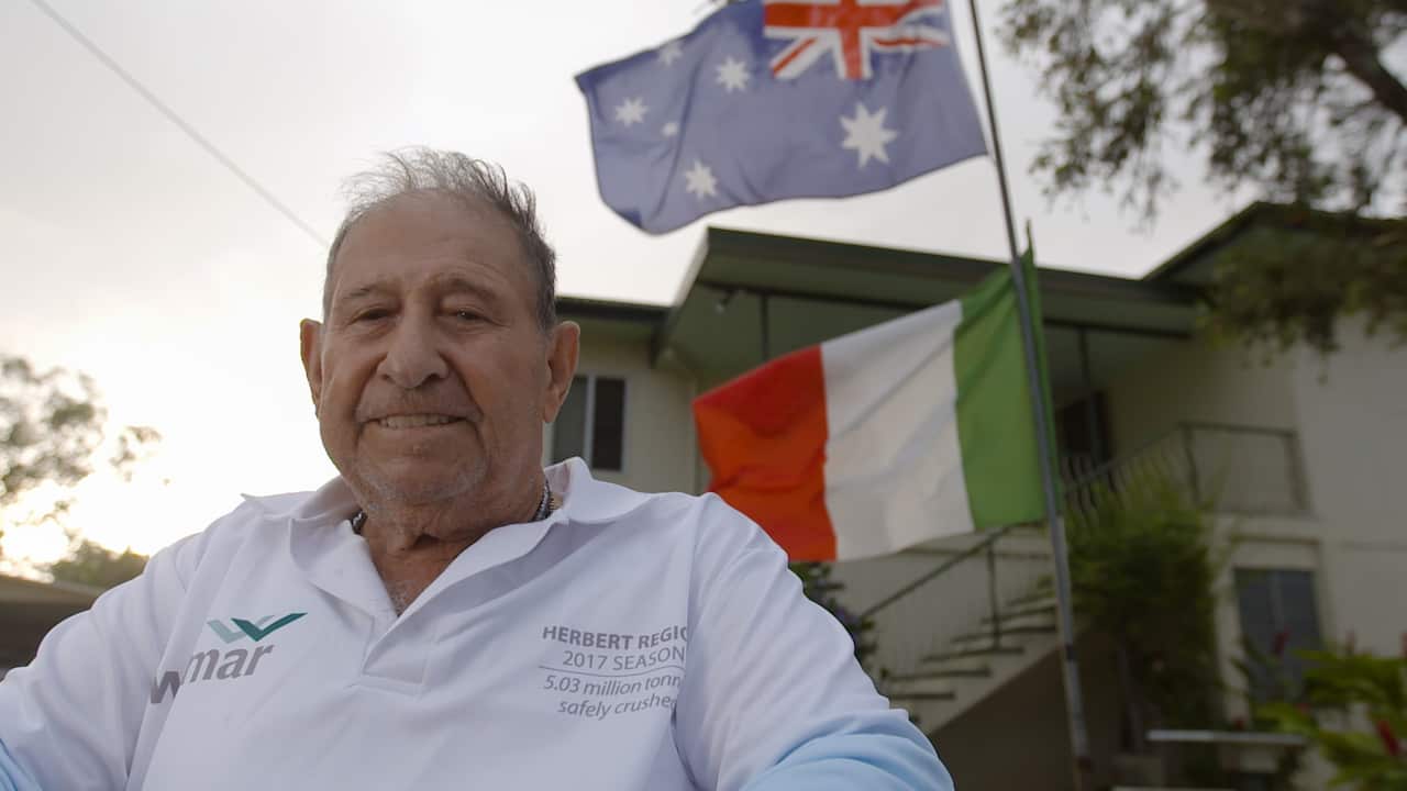 Where Are You Really From?, Mario, season 2