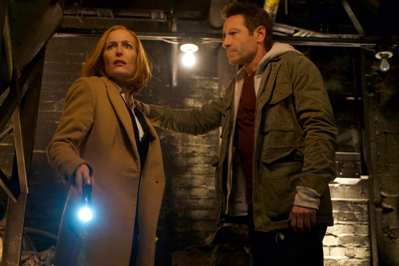 The X-Files, Gillian Anderson, David Duchovny
