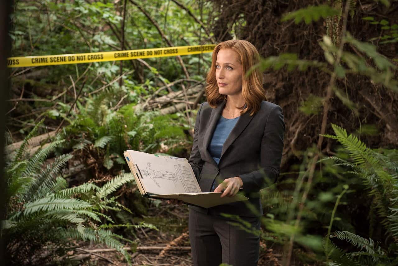 The X-Files, Gillian Anderson