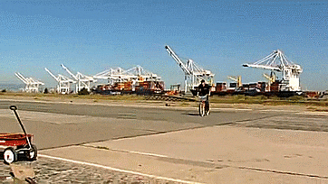 Mythbusters, Tory crash