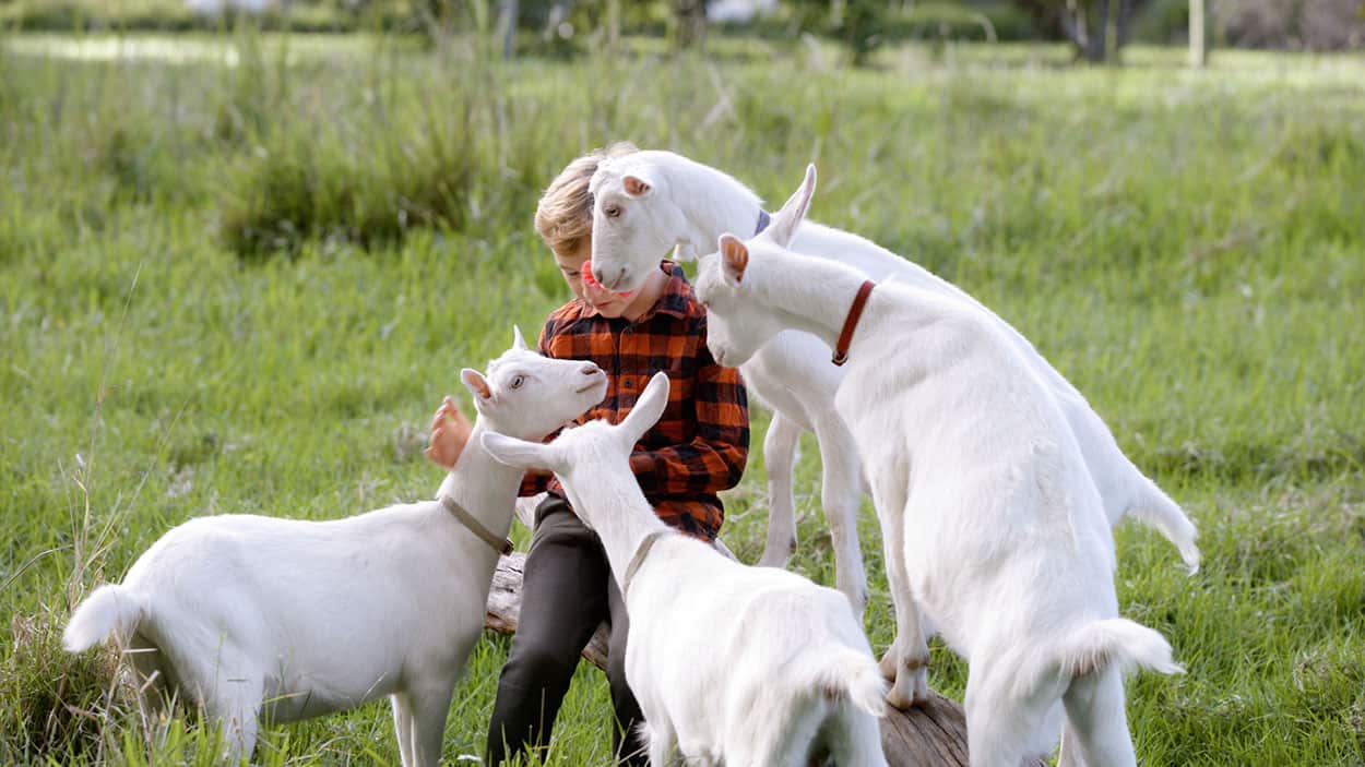Norfolk Island With Ray Martin