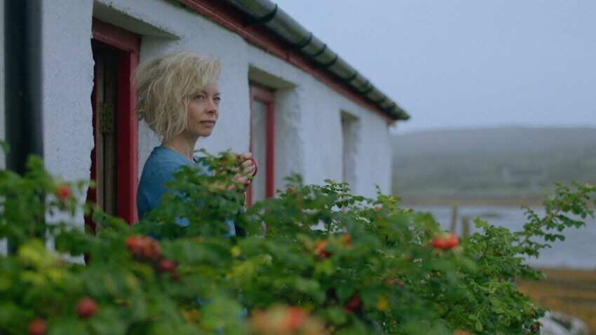 North Sea Connection