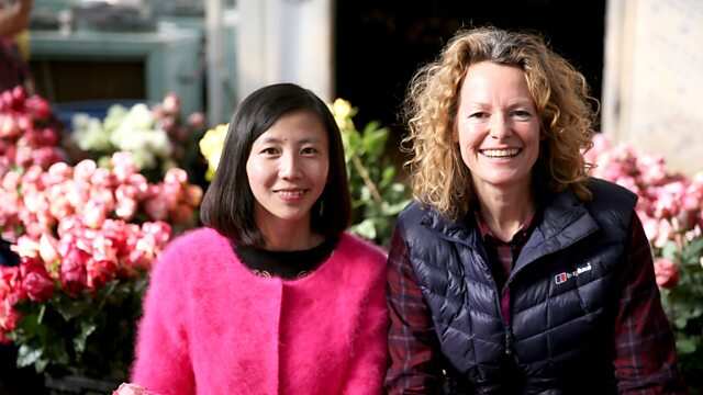 Chinese new year - The Biggest Celebration on Earth