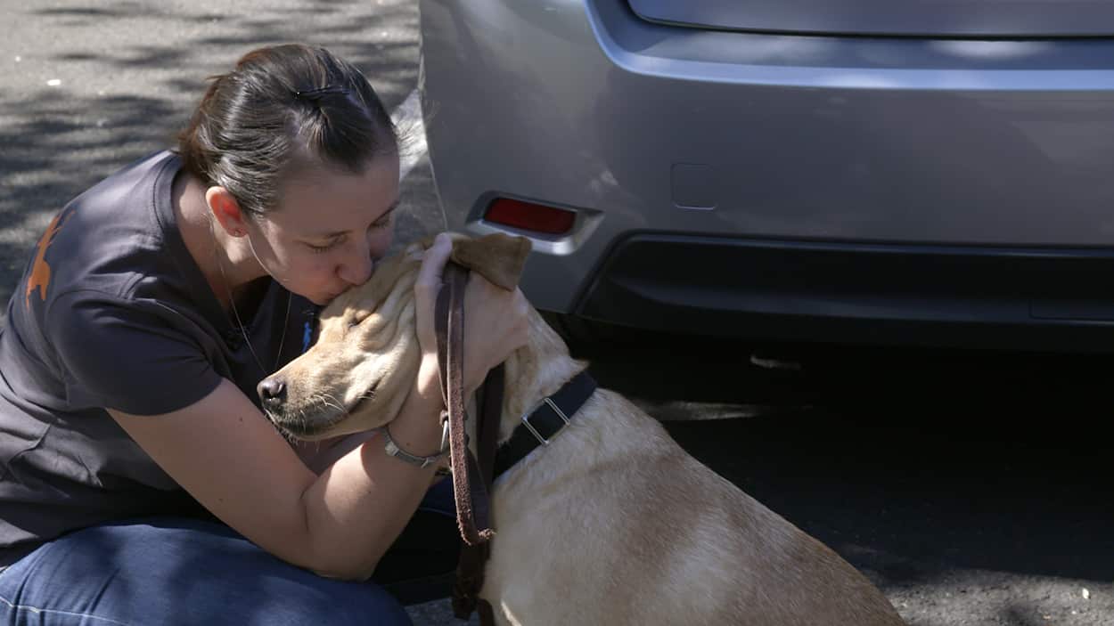 Rebecca says goodbye to Primrose