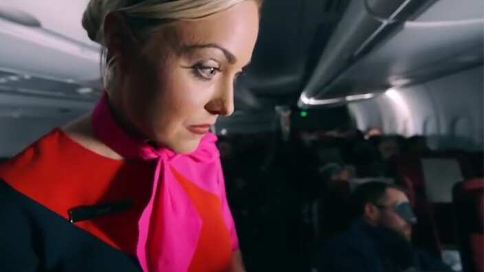 Plane flight attendant