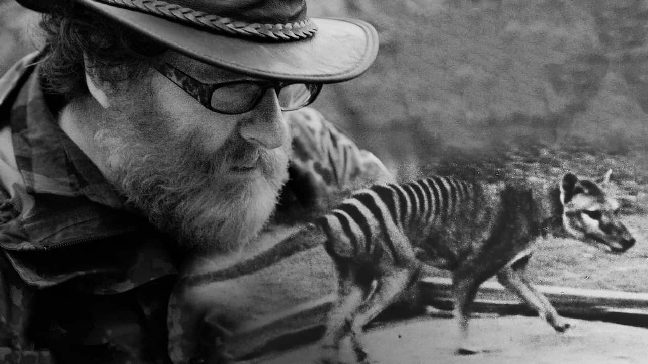 Searching for the Tassie Tiger, Neil Waters